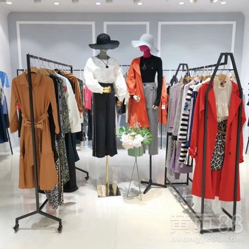 深圳冬季女装尾货批发 播元素大码外套，外贸显瘦新风尚